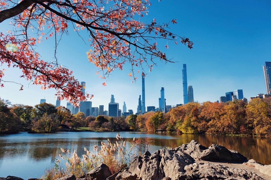 6 daagse Amerika stedentrip Ontdek New York 1